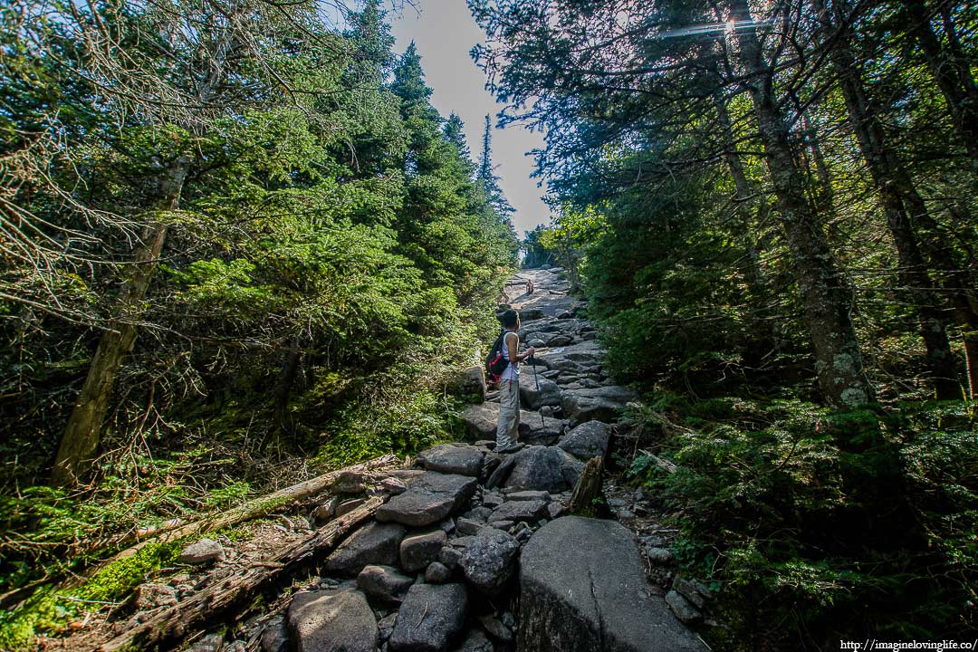 algonquin trail to peak